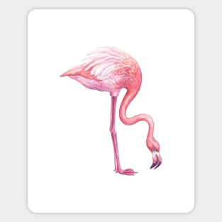 Flamingo 2 Magnet